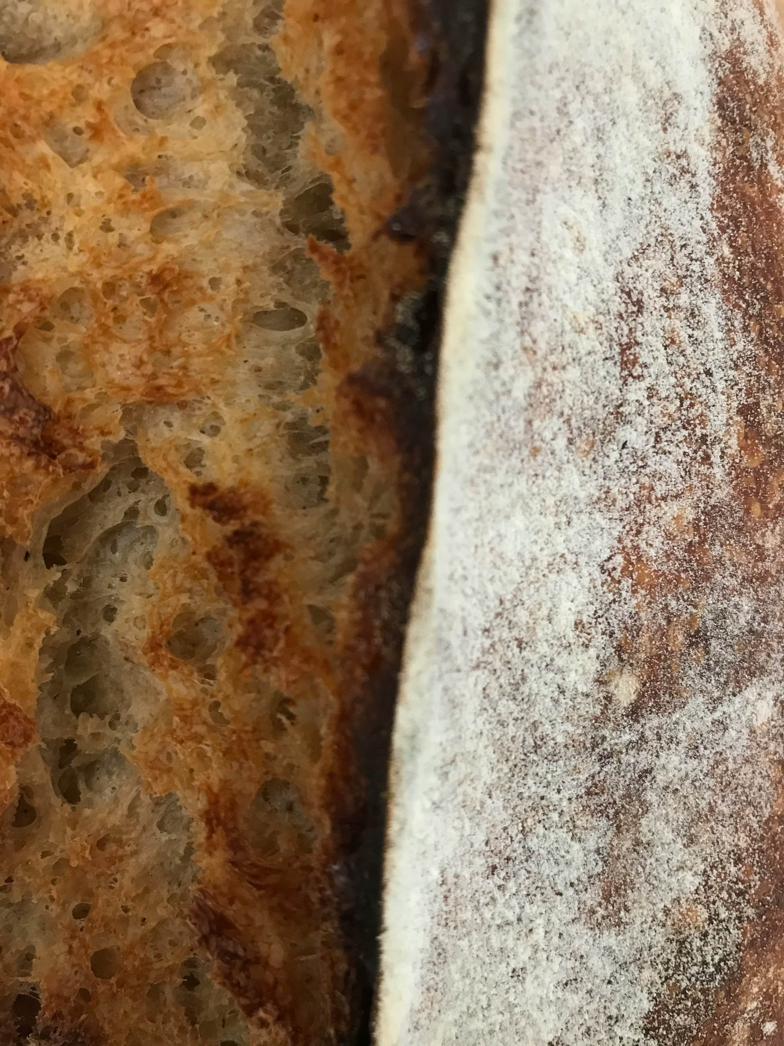 Fournée au levain au petit son