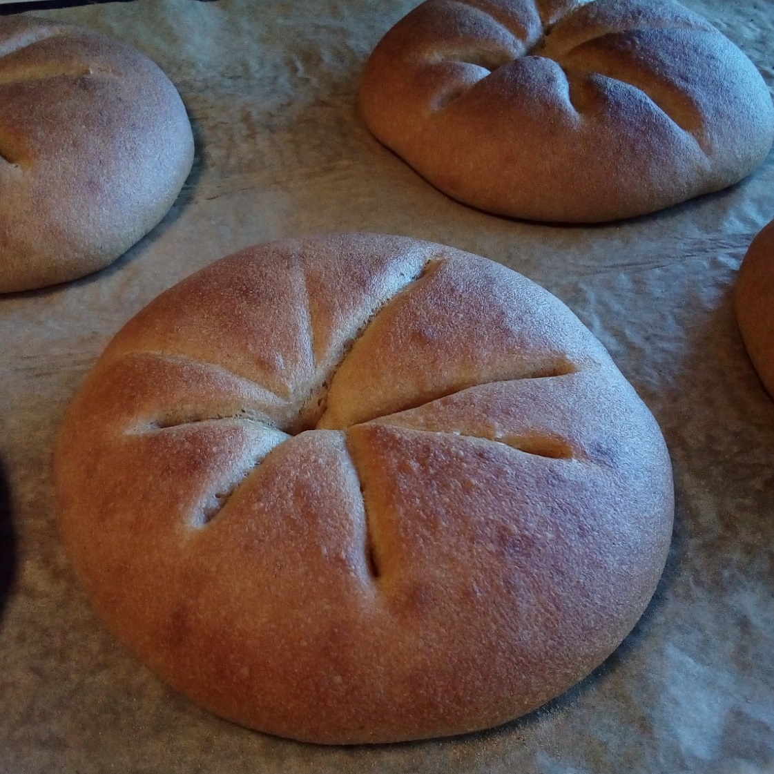 Brioche à l'huile et sans oeufs, 100% végétale